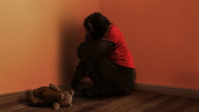 Xem Phim Linh Trưởng